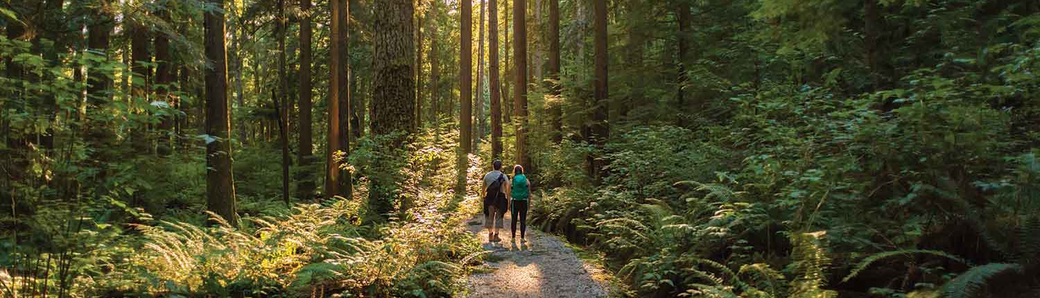 Couple hiking through sunlit woods